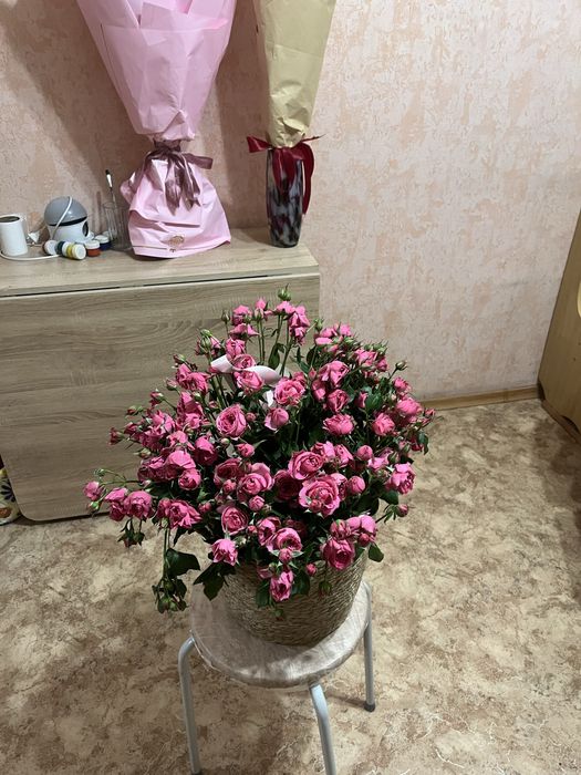 Продам цветы на выбор
