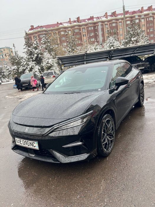 BYD Song L - 2024 г (5-позиция)