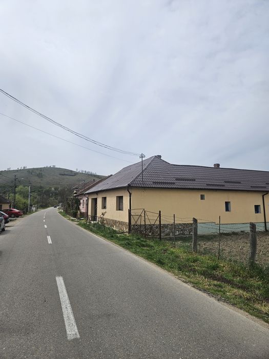 Vând teren intravilan în Petrani, 8 km de Beius, jud. Bihor