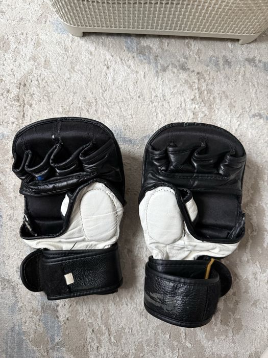 Продам черепашки рдх