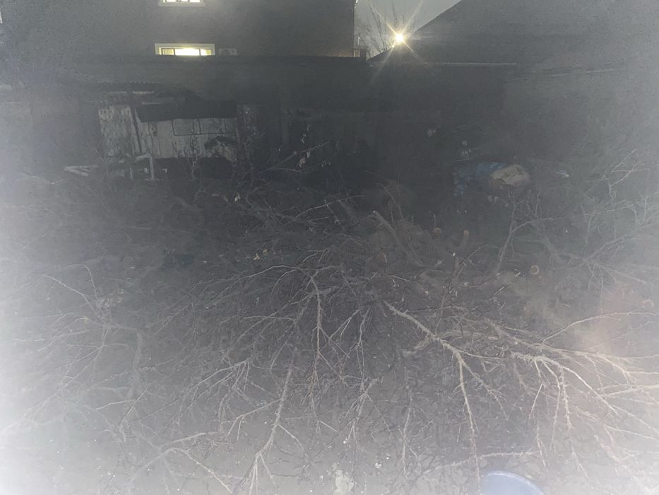 Агаштар отынға тегін отынға