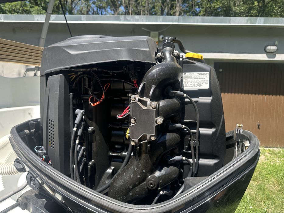 mercury 100 hp din 2016