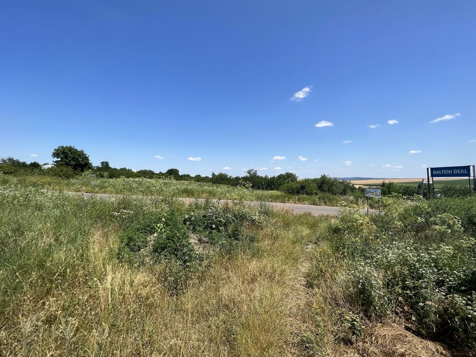 Teren 5100 mp Balteni Deal Vaslui Intravilan si Extravilan Cadastru