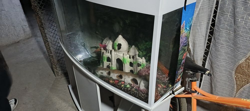 Аквариум продается 100л