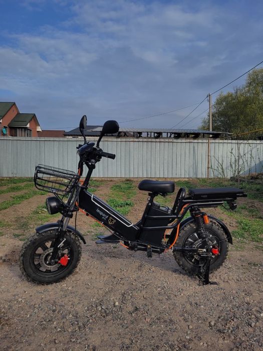 Леопад про Электровелик