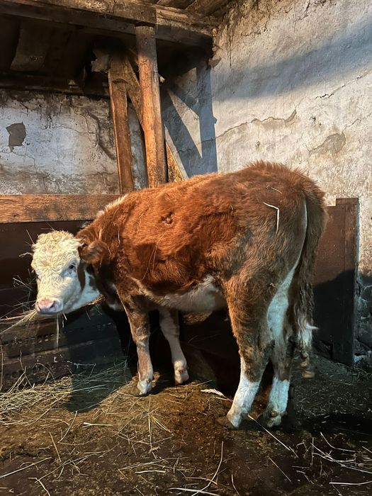 Сатылады  хабарласыныздар