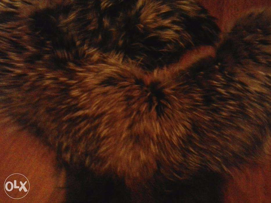 Меховой воротник - енот