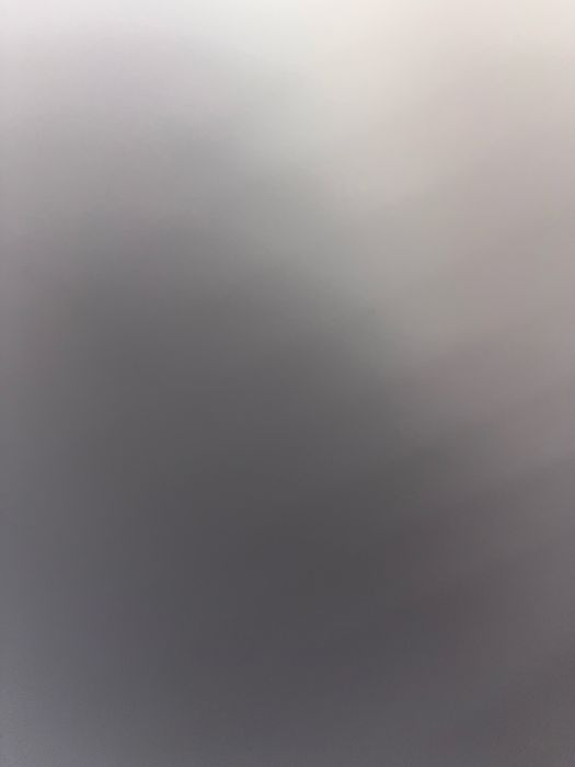Француский бульдог