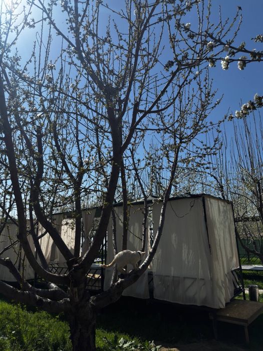 Дача/ Зона отдыха на Таш.Море