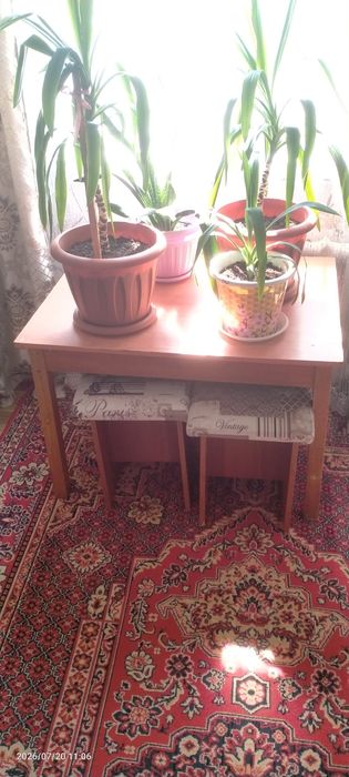 Стол в гостиную, стол в кухню, письменный стол