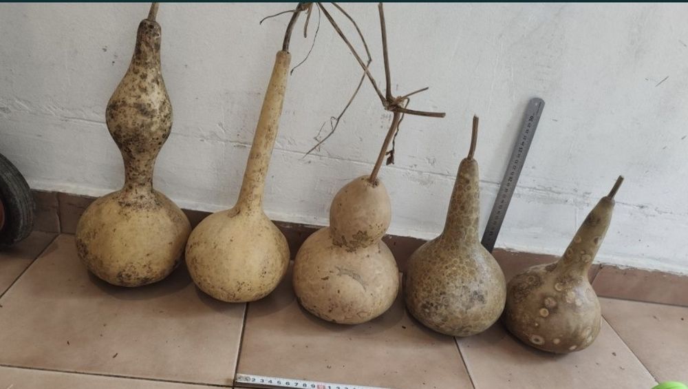 Кратуни за декорация и  Минзухарчета от филц