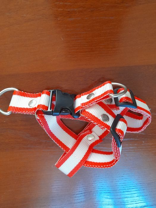 Шлейка для собак или кошек новая