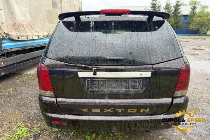 Far dreapta (de Europa) SsangYong Rexton generatia 1 [2001 - 2007]