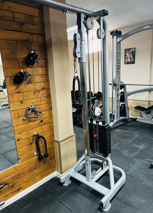 Портален скрипец