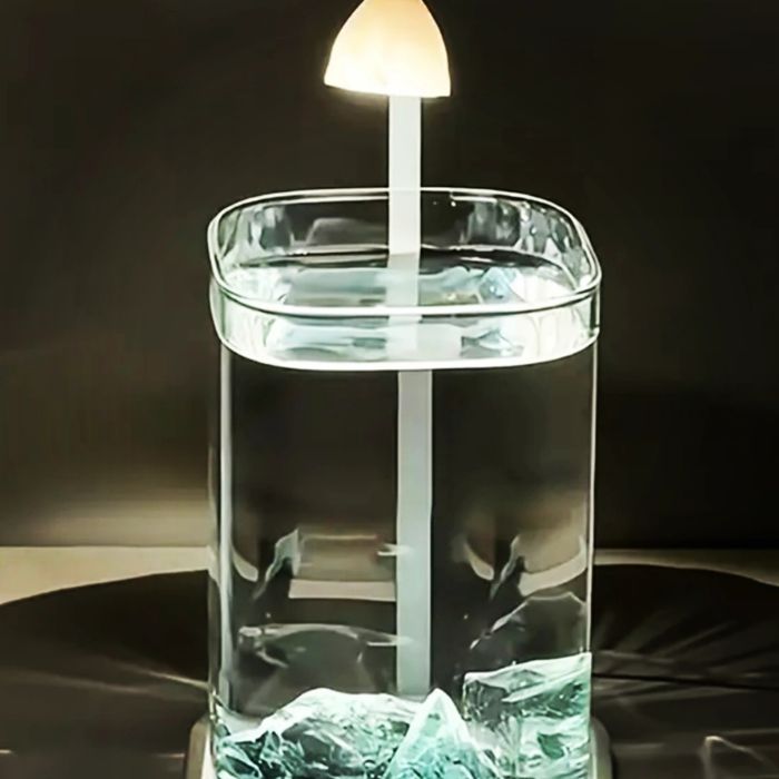 Аквариум с рыбкой петушок