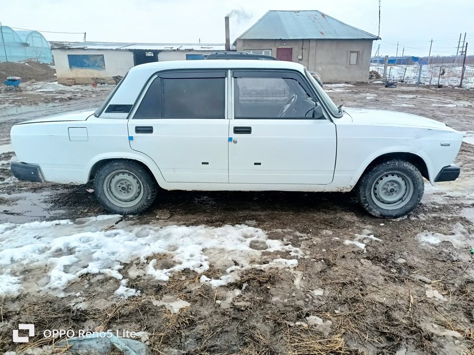 Семерка год 2007