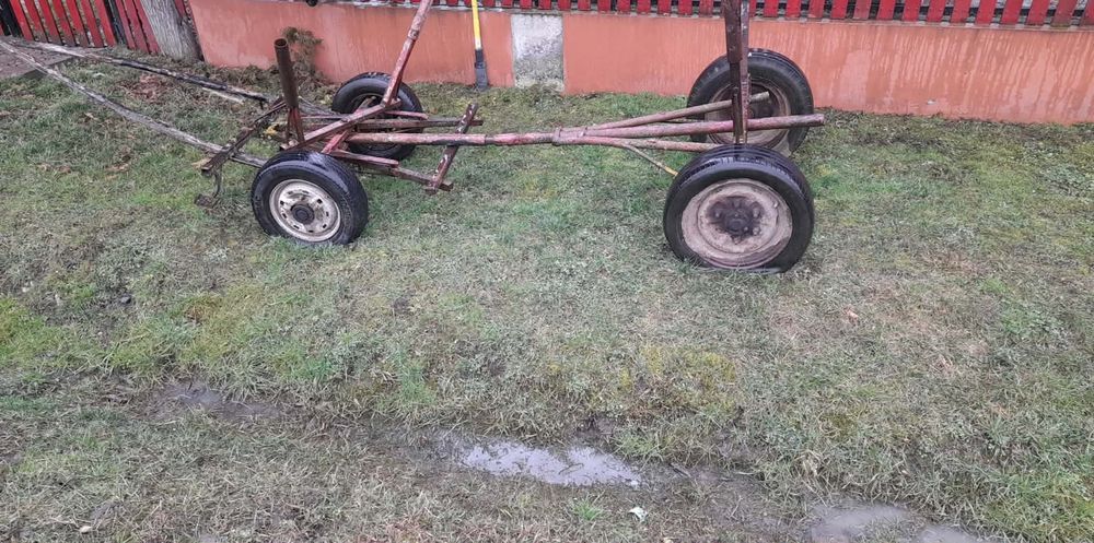 Vând vacii Baltate!