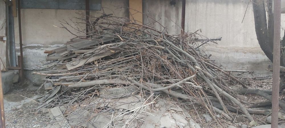 Дрова в пос. Кыргауылды