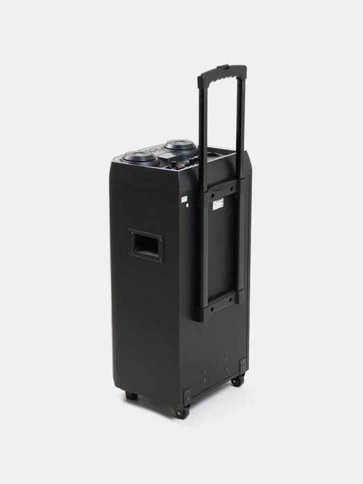 Колонка Avcrowns CH-126, с 1 беспроводным микрофоном