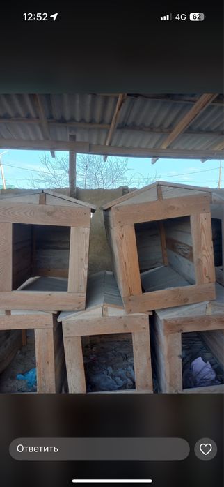 Итке уйшик сатылады