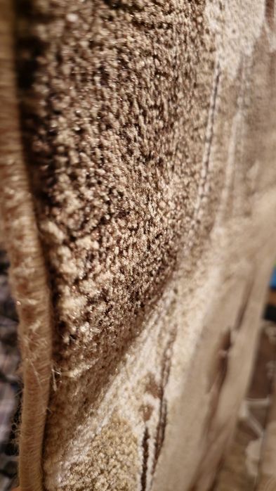 Шикарный плотный ковер 2×3 м после химчистки