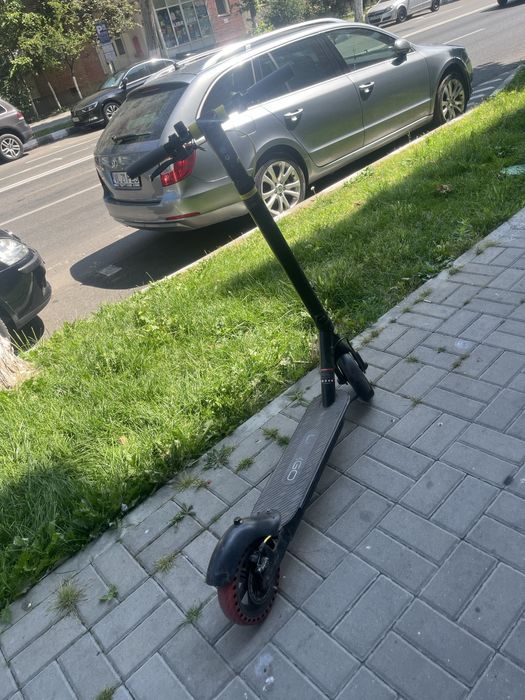 Trotineta lergo