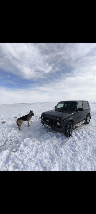 Продам шины зимние с дисками