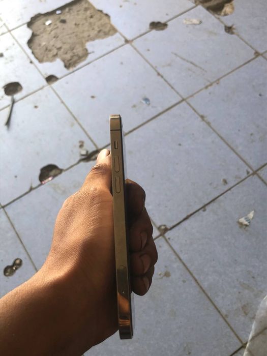 Apple:12;pro:Karobka bor; 128g:; rangi gold: