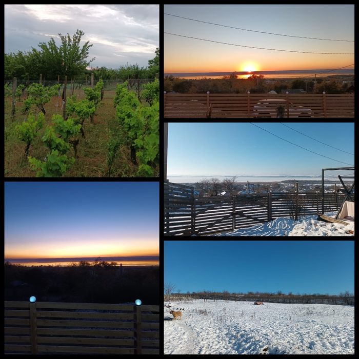 Casă 3.000mp Oltina jud CT