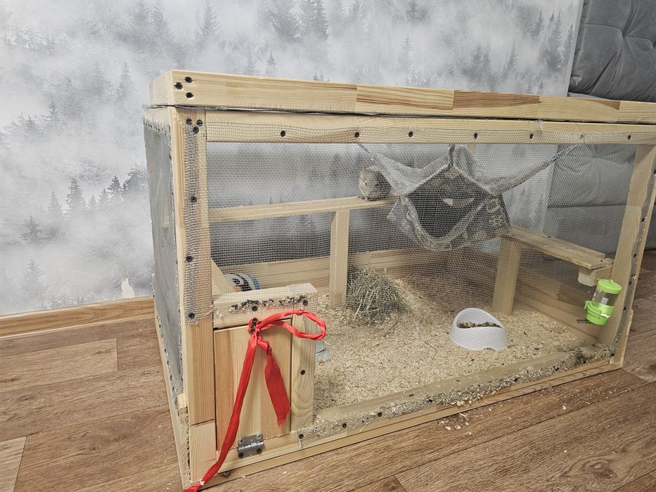 Шиншилла с клеткой !