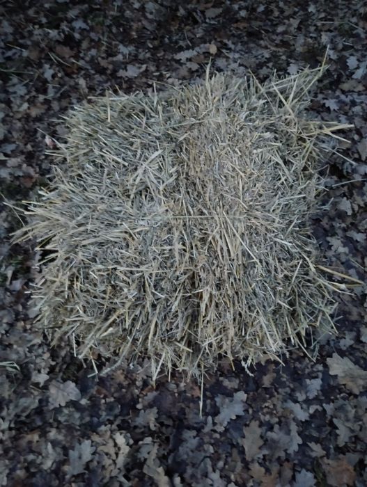 Baloți de paie de grau și fin