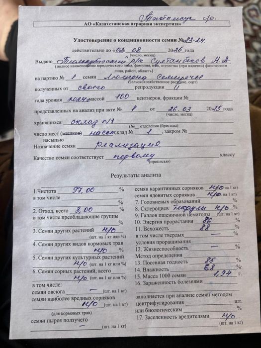 Семена люцерны Жонышка урыгы