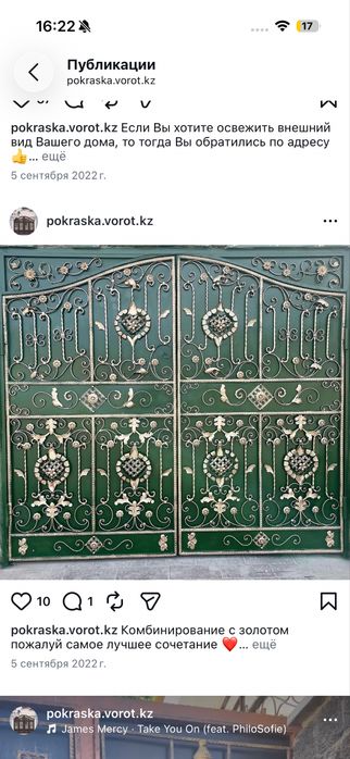 Профессиональная покраска ворот.
