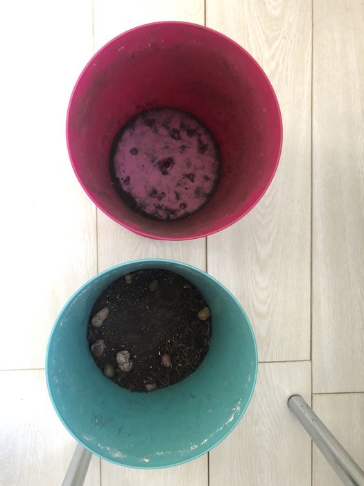 Горшки для комнатных растений