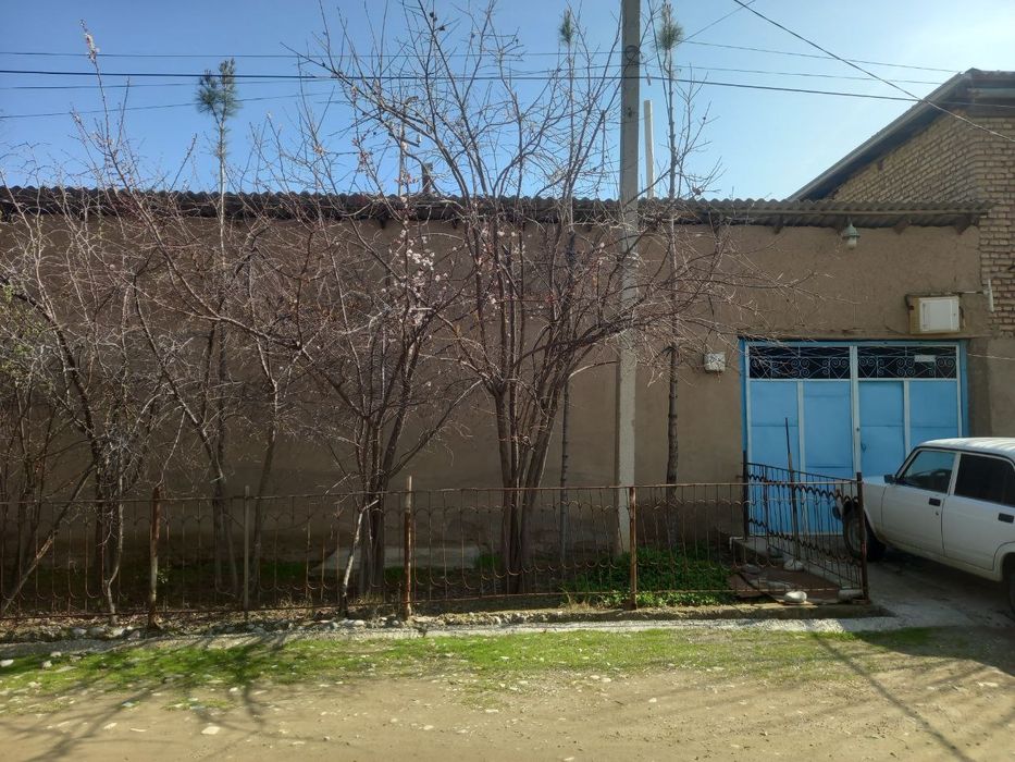 Shahrisabz markazidan xovli