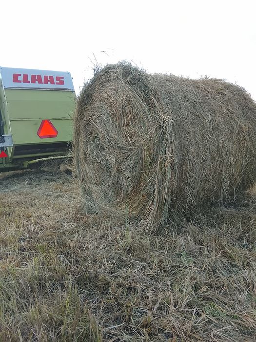 Продам сено. Разнотравье!