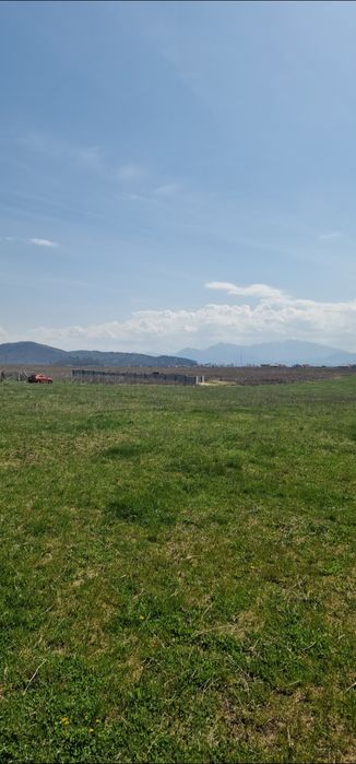 Teren intravilan Bod 20000mp