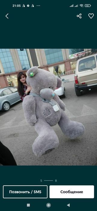 Тедди Teddy Teddi Teddiy по, Оптовым цена Teddy ayig'i original Mishka