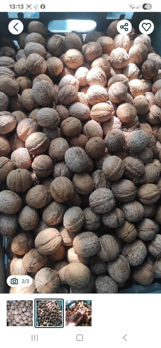 Продаю домашние грецкие орехи