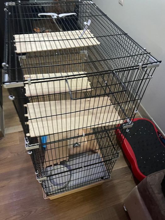 Клетка для шиншилы