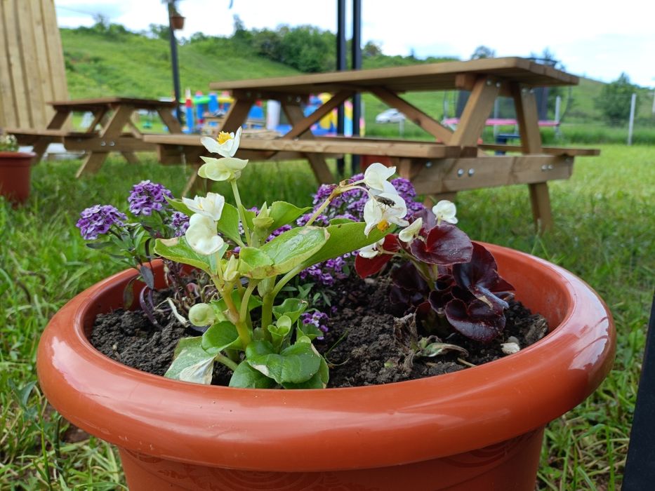 Spatiu de joaca, zile de naștere copii