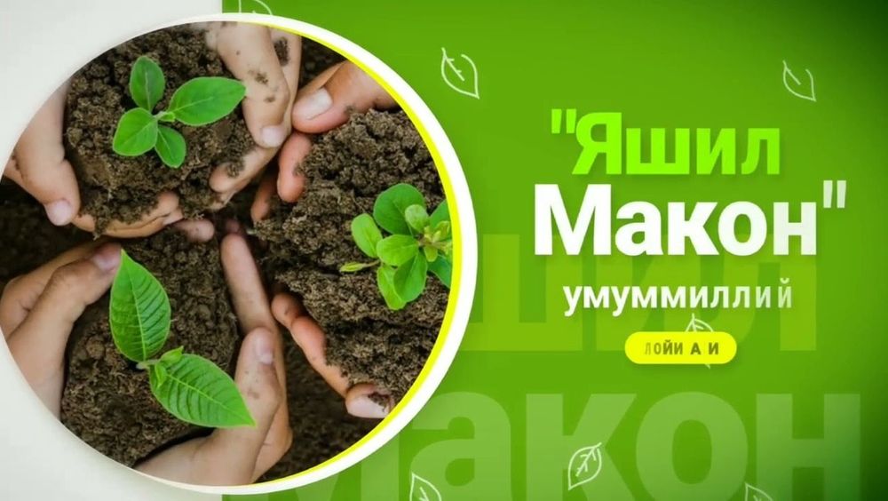 Барча турдаги мевали дарахт кўчатлари сотилади
