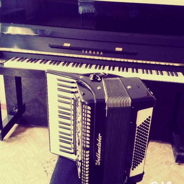 Баян аккордеон на заказ музыкант гармонист Аккордеонист