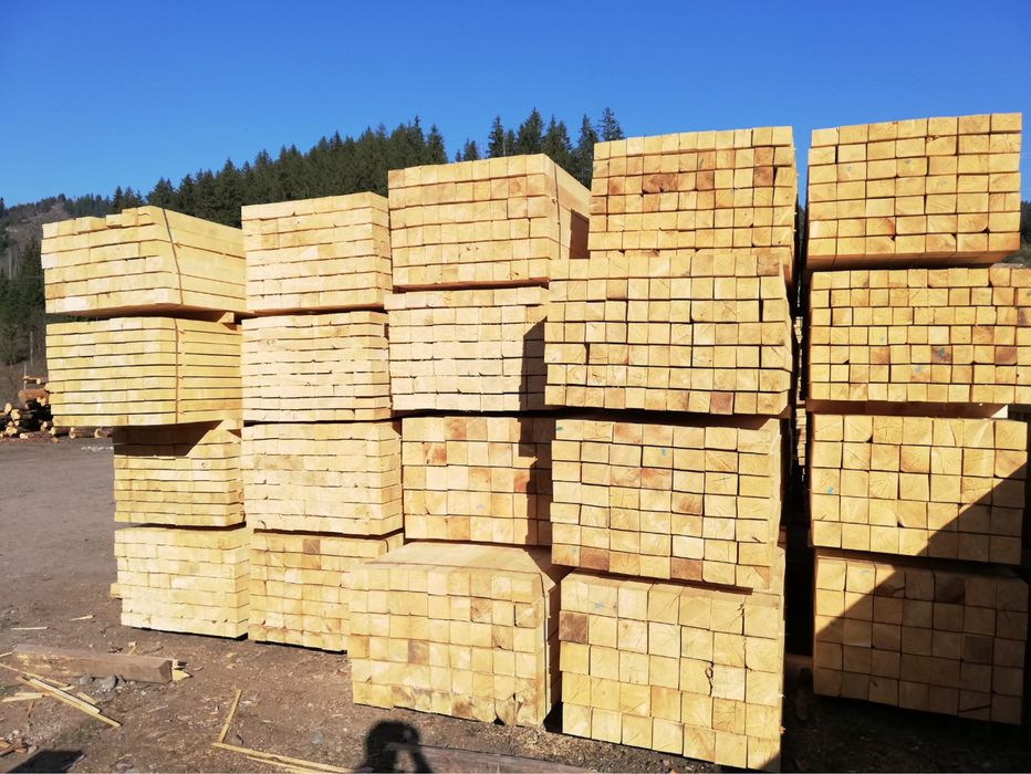 Cherestea Rasinoasa Molid si Lambriu