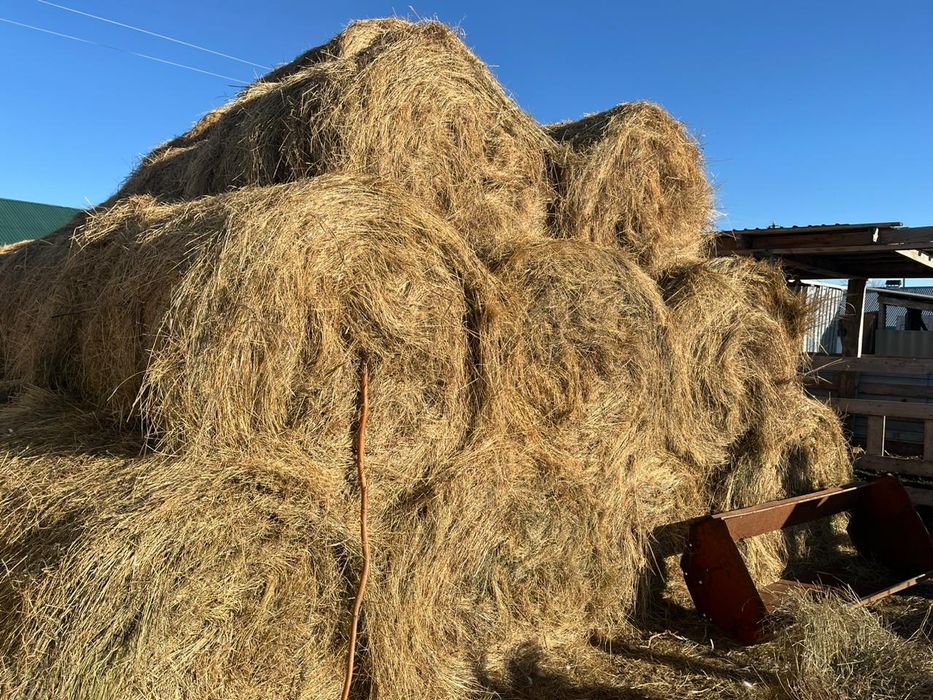 Срочно продам дом с хозяйством