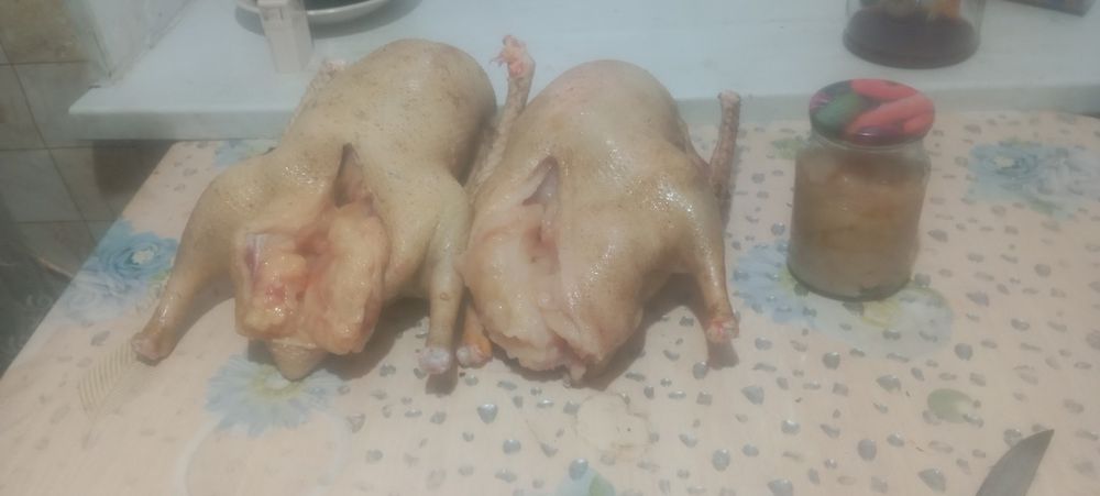 Мяса гуся свежие