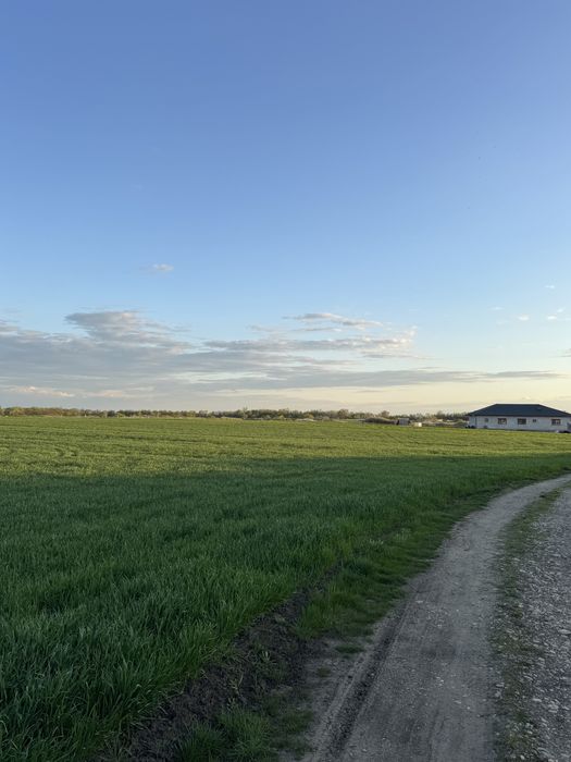 Vand Teren Remetea Mare