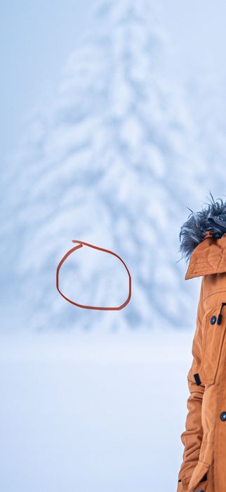 Nikon Z6II Body Mirrorless Cadrare : 66.800