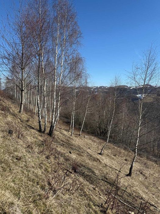 Vand teren Mărișel.