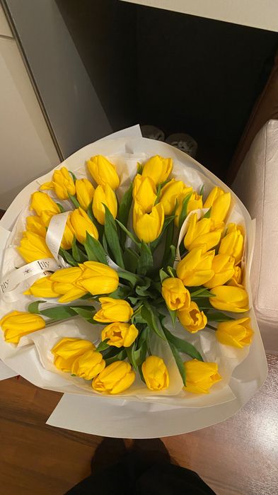 Свежий тюльпан 35 шт